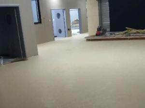 舞蹈房地胶